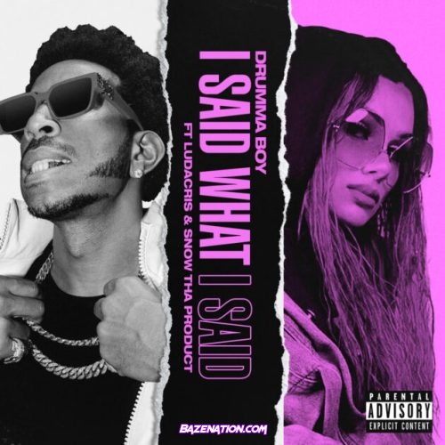 Drumma Boy – I Said What I Said (feat. Ludacris, Snow Tha Product) Mp3 Download