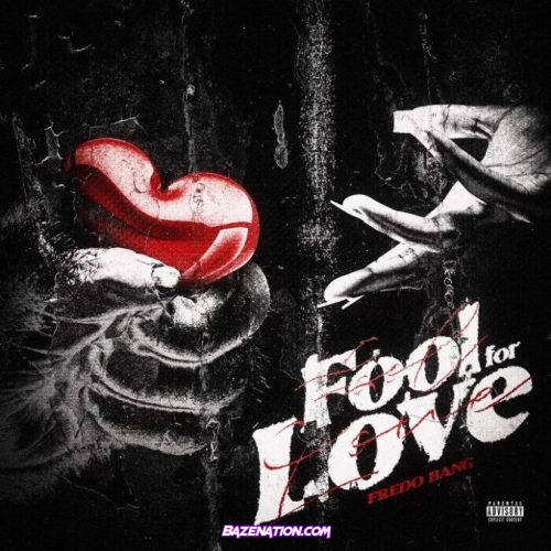 Fredo Bang – Fool for Love Mp3 Download