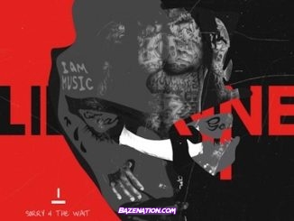 Lil Wayne - Cameras (feat. Allan Cubas) Mp3 Download