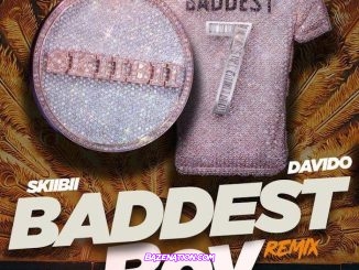 Skiibii - Baddest Boy (Remix) Ft. Davido Mp3 Download