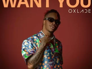 Oxlade – Want You Mp3 Download
