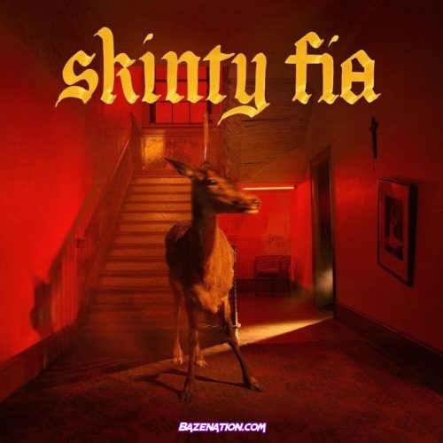 Fontaines D.C. - Skinty Fia Download Album Zip