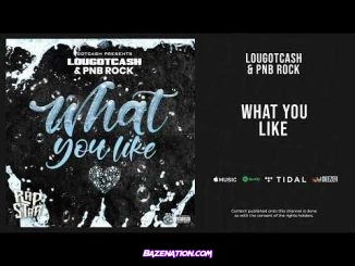 LouGotCash & PnB Rock - What You Like Mp3 Download