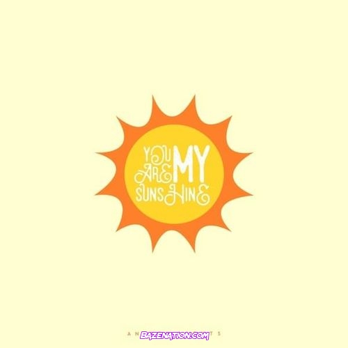 Anthem Lights - You Are My Sunshine Mp3 Download