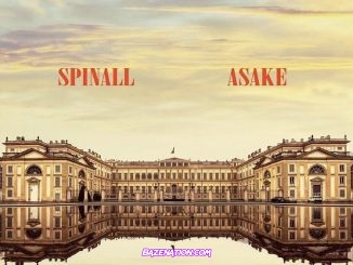 DJ Spinall - Palazzo (feat. Asake) Mp3 Download