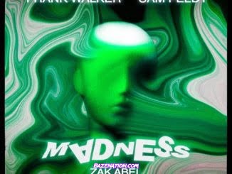 Frank Walker, Sam Feldt – Madness (feat. Zak Abel) Mp3 Download