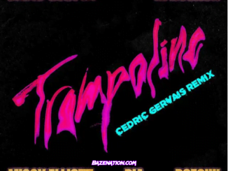 David Guetta, Afrojack, Cedric Gervais, Missy Elliott, BIA, Doechii – Trampoline (Cedric Gervais Remix) Mp3 Download