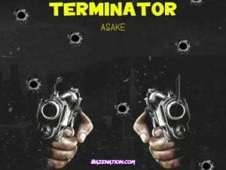 Asake - Terminator Mp3 Download