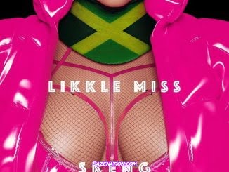 Nicki Minaj - Likkle Miss Remix (with Skeng) Mp3 Download