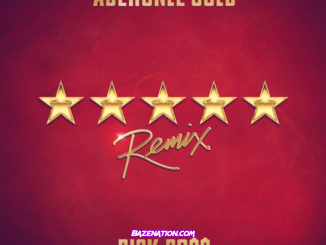 Adekunle Gold – 5 Star Remix (feat. Rick Ross) Mp3 Download