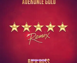Adekunle Gold, Rick Ross - 5 Star (Remix) Mp3 Download