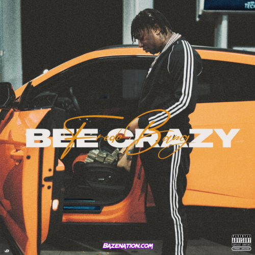 Fredo Bang – Bee Crazy Mp3 Download
