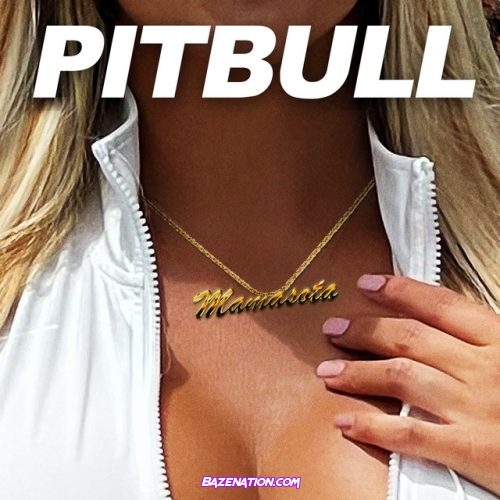 Pitbull – Mamasota Mp3 Download