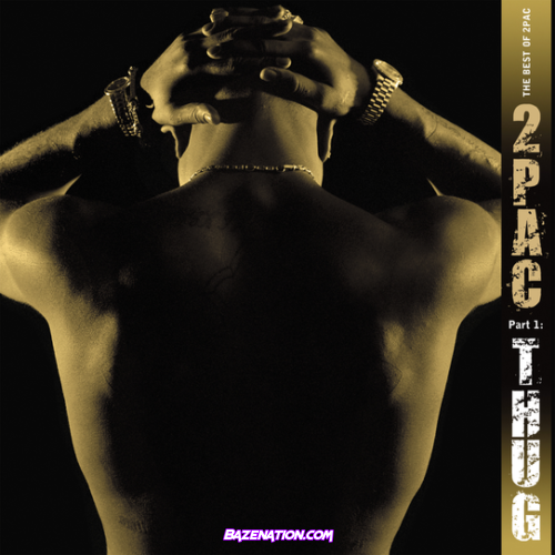 2Pac - Best of 2Pac, Part 1: Thug Download Album