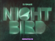 DJ Snake - Nightbird Mp3 Download