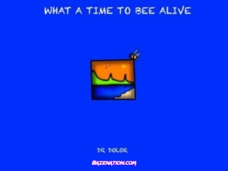 Dr Dolor - What a Time to Bee Alive Download Album