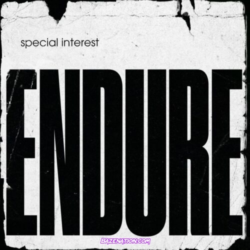 Special Interest – Endure Download Album