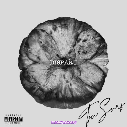 Tsu Surf – Disparu Mp3 Download