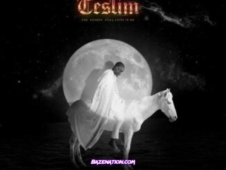 Vector – Teslim (The Energy Still Lives in Me) Download Album