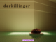 Lil darkie & CHRIST DILLINGER – darkillinger Download Album Zip