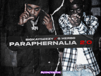 BigKayBeezy – Paraphernalia 2.0 (feat. G Herbo) Mp3 Download