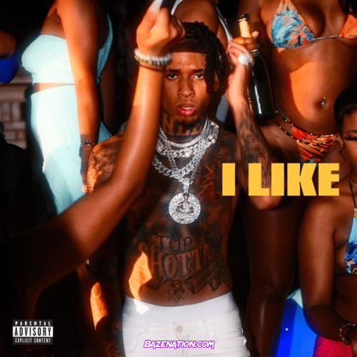 NLE Choppa - I Like Mp3 Download