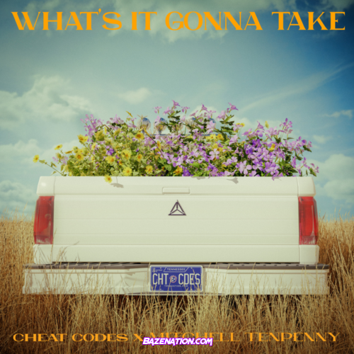 Cheat Codes & Mitchell Tenpenny – What's It Gonna Take Mp3 Download