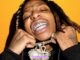 Nef The Pharaoh – What Do You Like Mp3 Download