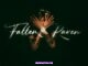 Summrs – FALLEN RAVEN Download Album
