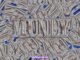 Kenny Muney – Big Muney Sh*t Mp3 Download
