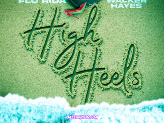 Flo Rida, Walker Hayes & Sam Feldt – High Heels (Party Down Under) Mp3 Download