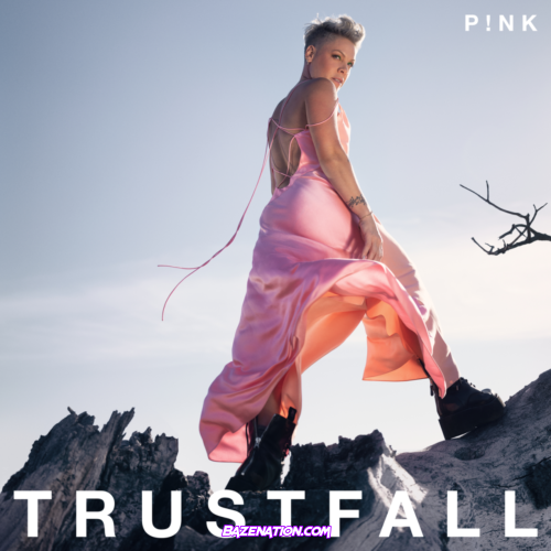 P!NK – Feel Something Mp3 Download