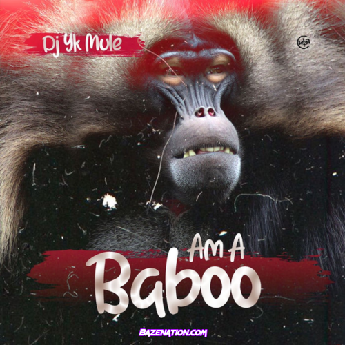 Dj Yk Mule – Am a Baboo