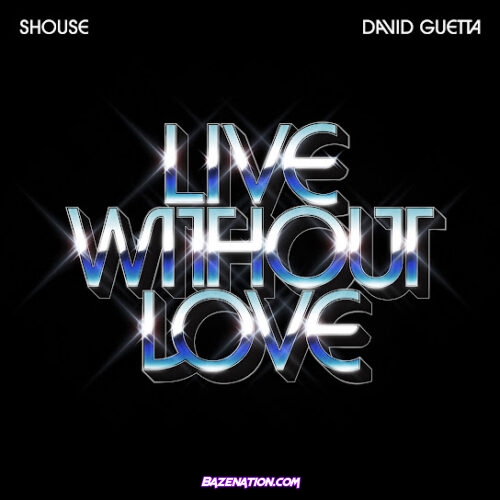 Shouse & David Guetta - Live Without Love