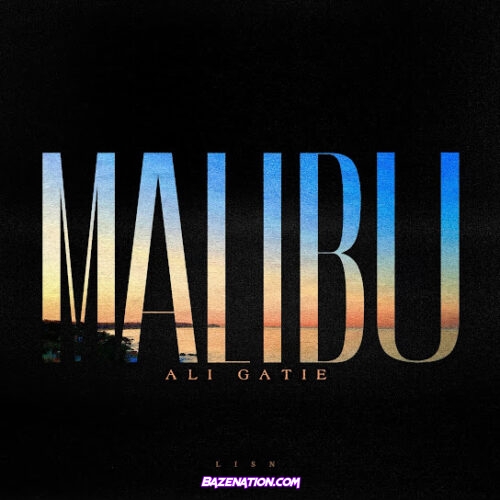 Ali Gatie - Malibu