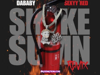 DaBaby - SHAKE SUMN (REMIX) (feat. Sexyy Red)