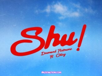 Diamond Platnumz - Shu! (feat. Chley)