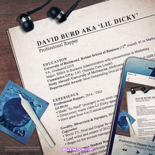 Lil Dicky - Professional Rapper Album Download Zip