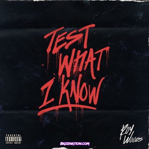 Roy Woods - Test What I Know