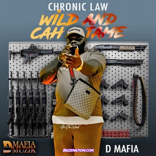 Chronic law - Wild and Cah Tame (feat. D Mafia)