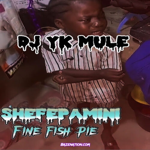 Dj Yk Mule - Shefepamini Fine Fish Pie