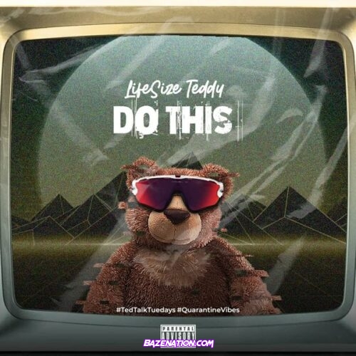 LifeSize Teddy - Do this