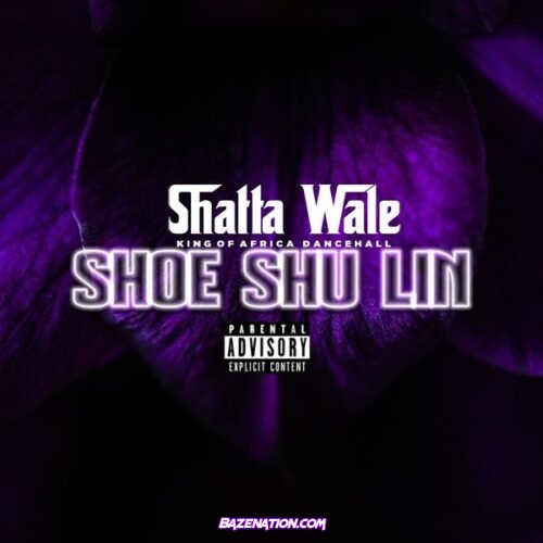 SHATTA WALE - SHOE SHU LIN FL MS