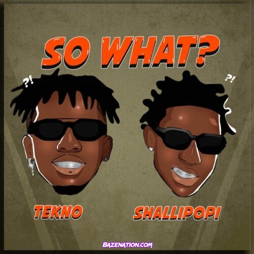 Tekno - So What? (feat. Shallipopi)