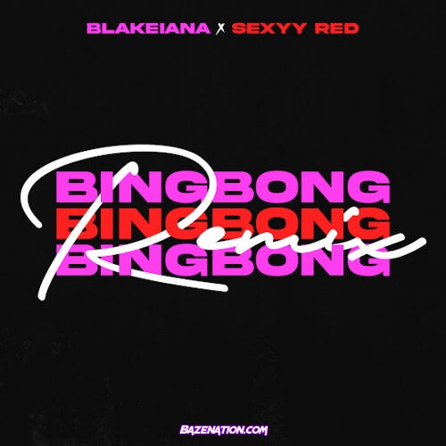 BlakeIANA - BING BONG (Remix) Ft. Sexyy Red