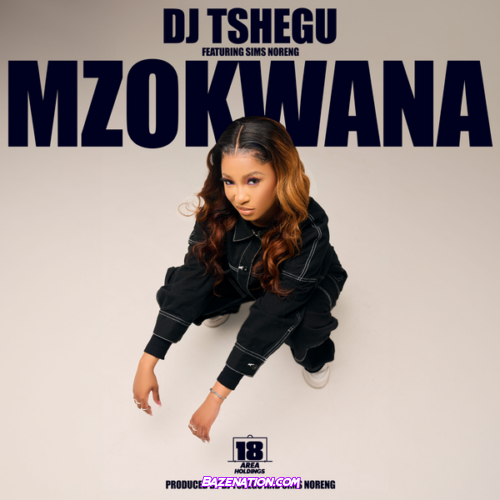 DJ Tshegu - Mzokwana Ft. Sims Noreng