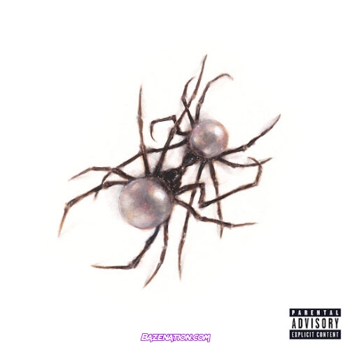 Doja Cat Skull And Bones MP3 Download