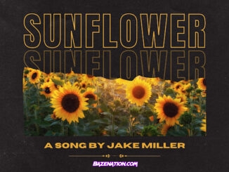 Jake Miller - Sunflower
