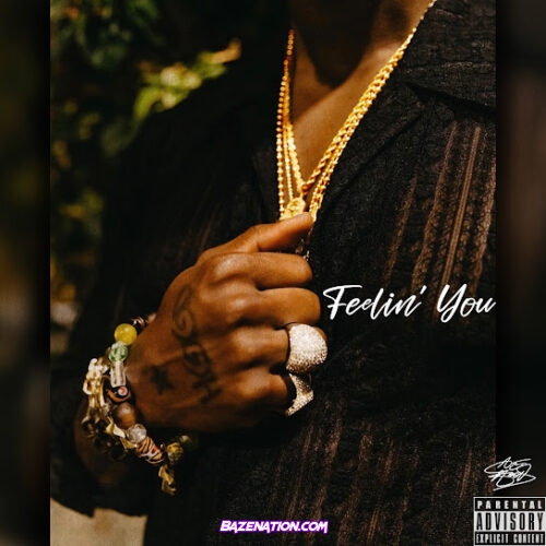 Ace Hood - Feelin' You