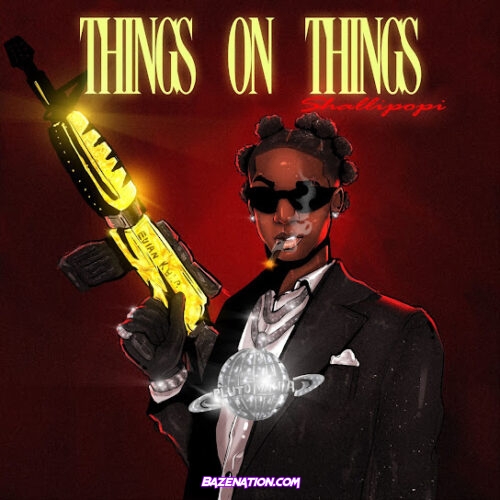 Shallipopi - Things On Things